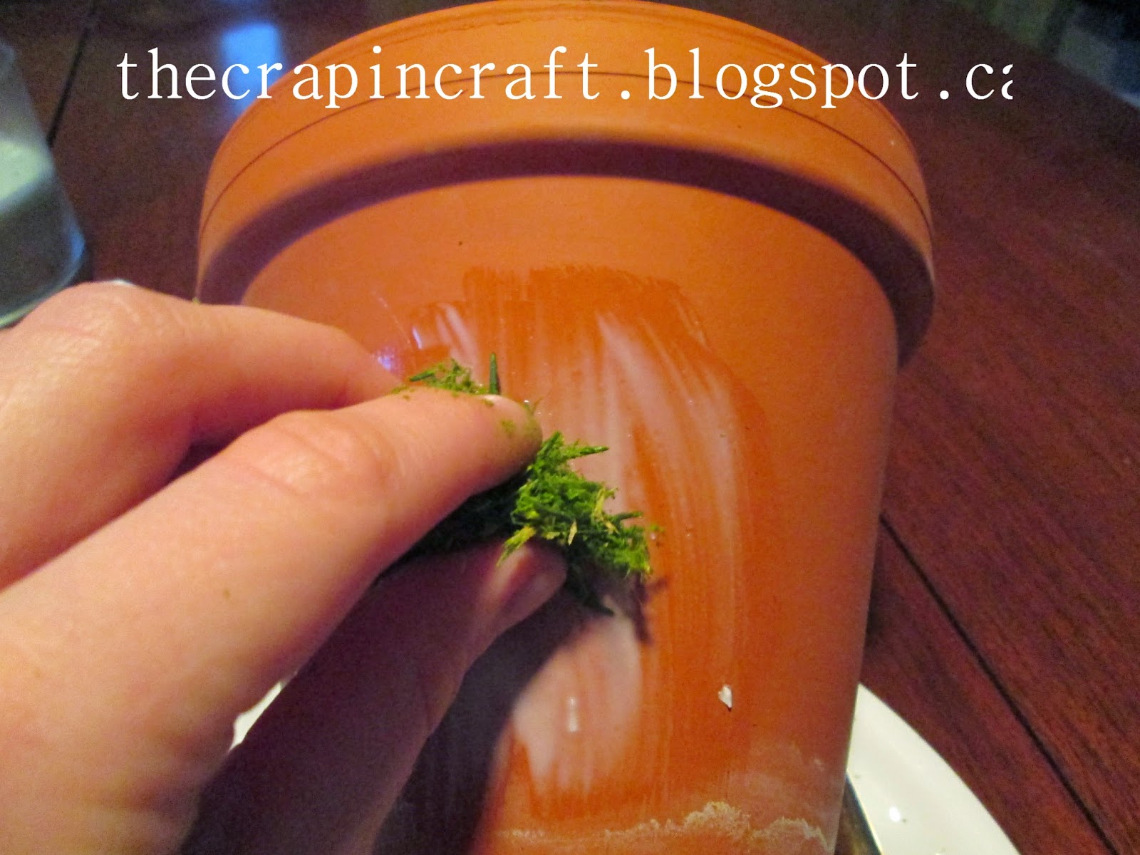 Putting the Crap in Craft DIY Fake Moss