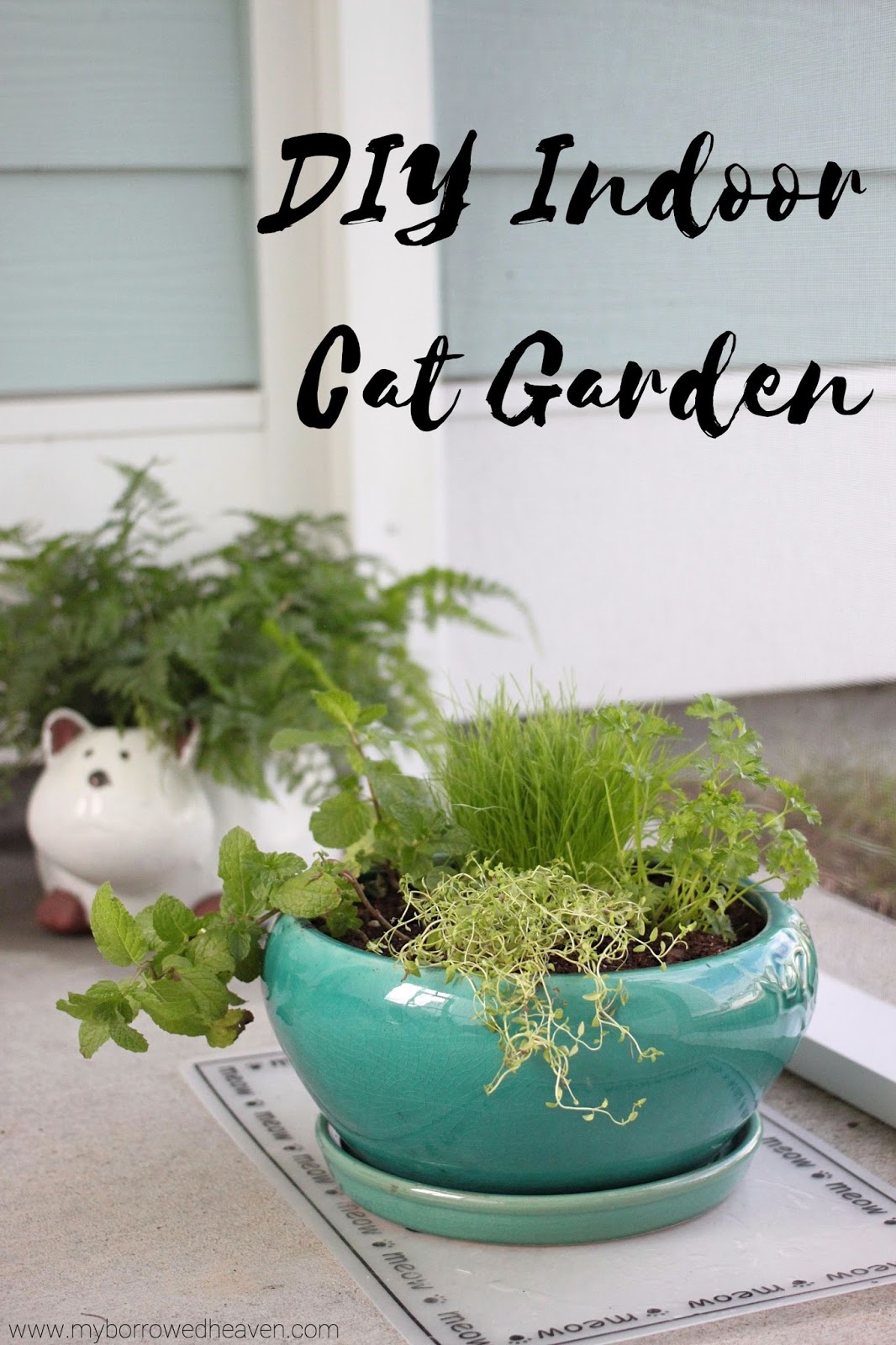 borrowed heaven DIY Indoor Cat Garden