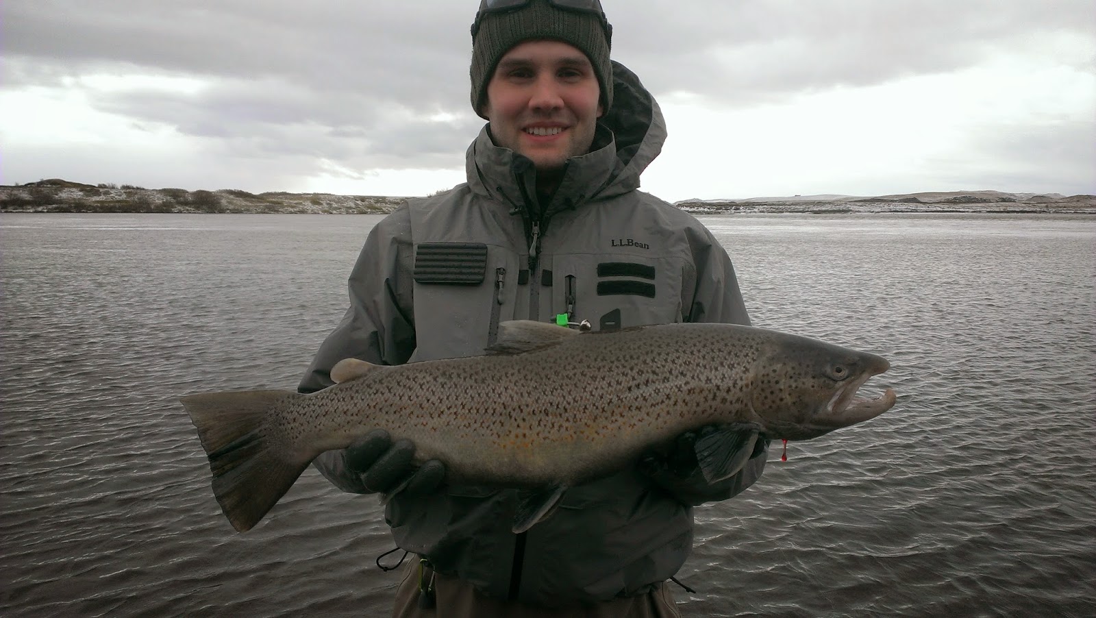 October 2014 Fish of the Month Entry Icelandic Sea Trout!