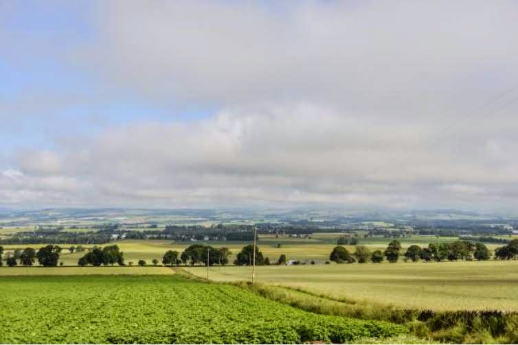 GatheringGardiners: Thomas Rattray 1744