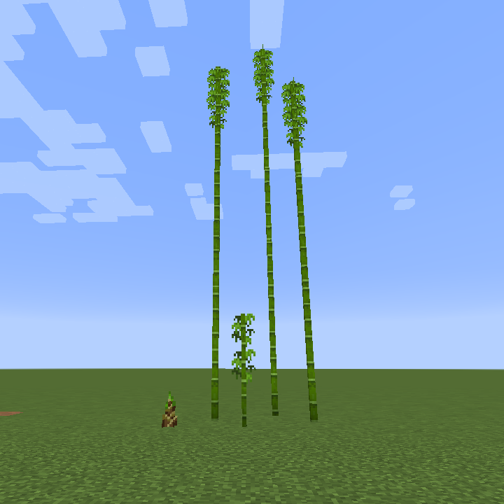 マイクラ 竹 の 育て 方