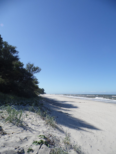 Plaża (praktycznie pusta) nad Bałtykiem pomiędzy Sarbinowem Morskim a Gąskami w Gminie Mielno