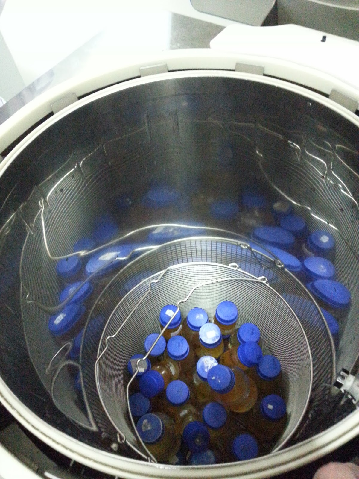 Only IBG 102 LAB 3 Preparation and Sterillization of Culture Media