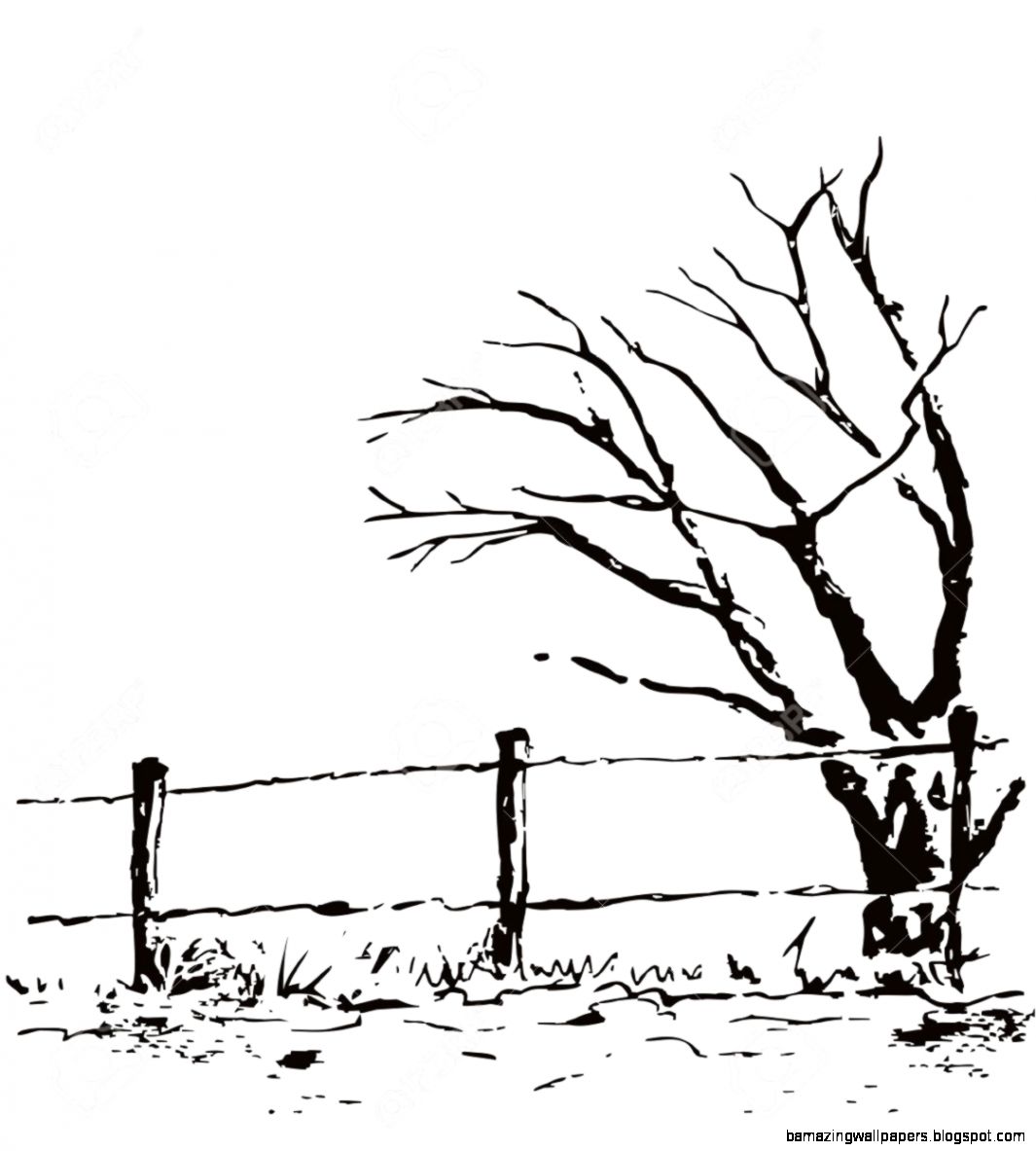 Lonely Tree With Fence Vector Nature Illustration Isolated On