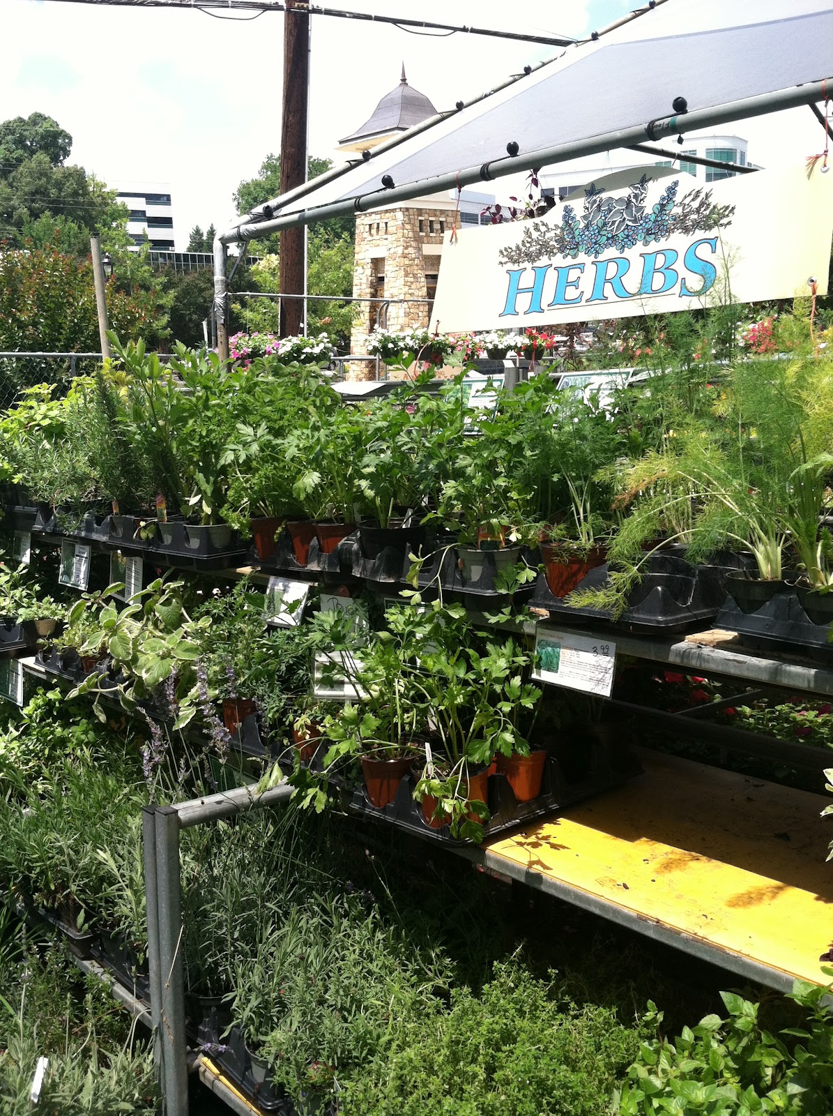 Kings Drive Farmers Market Carolina Charm