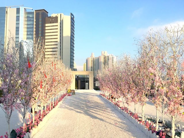 【新春好去處】D2 Place天台桃花陣 粉紅祈福許願樹