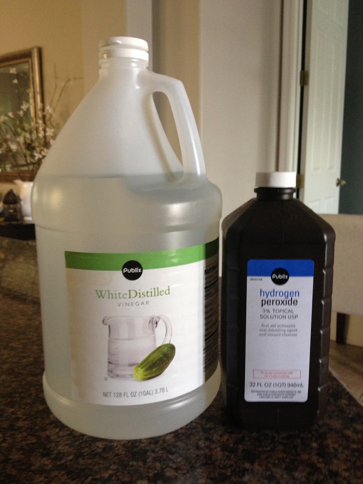 The Best Ideas for Diy Dog Urine Odor Remover - Home, Family, Style and