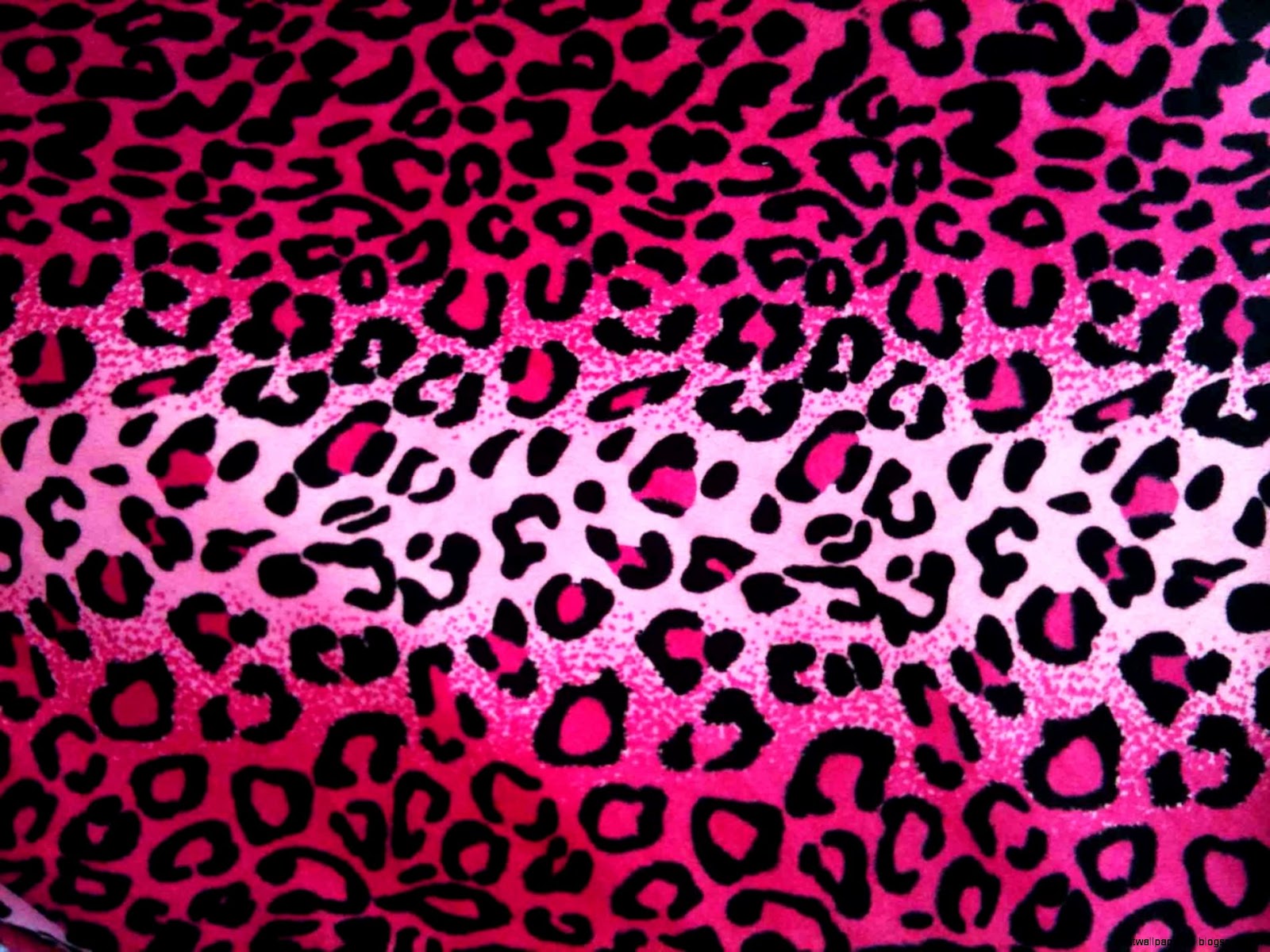 Pink Cheetah Print