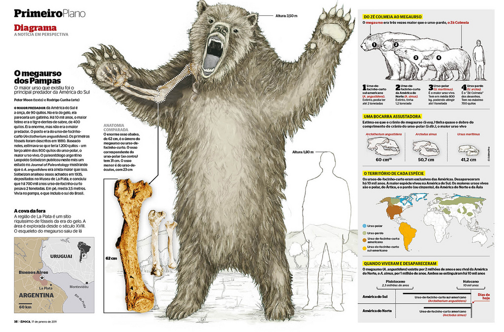 Extinct Animal Of The Week Always Short Faced Bears extinct-animal-of-the-week-always-short-faced-bears