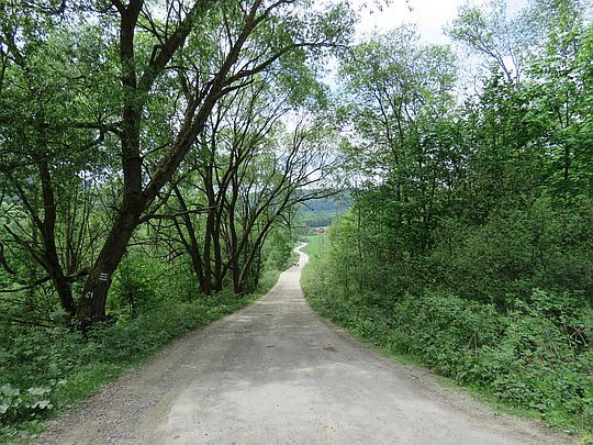 Droga do wsi Ropki.