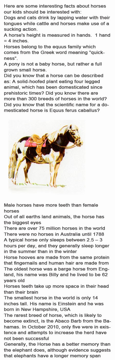 Facts about horses for kids