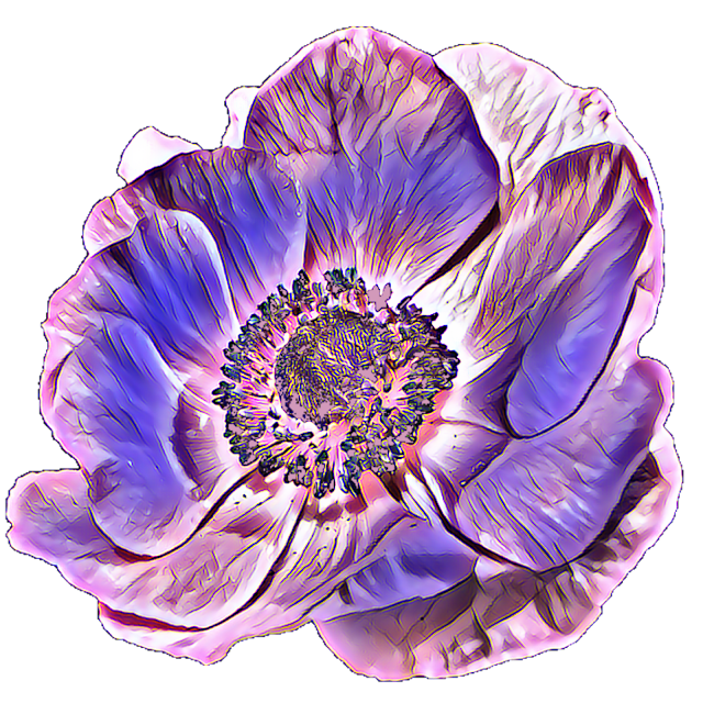 Clip Art: Bright Flower Illustrations on Transparent Backgrounds