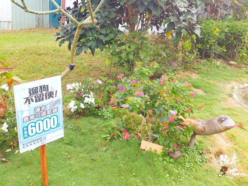 鶯歌永吉公園IG網美景點|炮仗花、櫻花齊登場還有3D立體彩繪步道