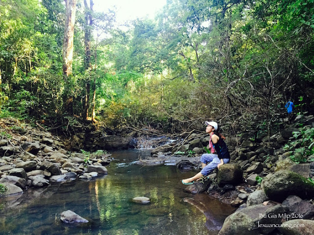 Con đường trekking đến suối Lưu Ly, rừng Bù Gia Mập