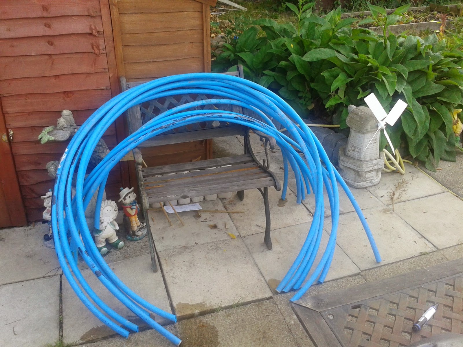 Alans Allotment Tuesday 29th July 2014 Blue Water Pipe