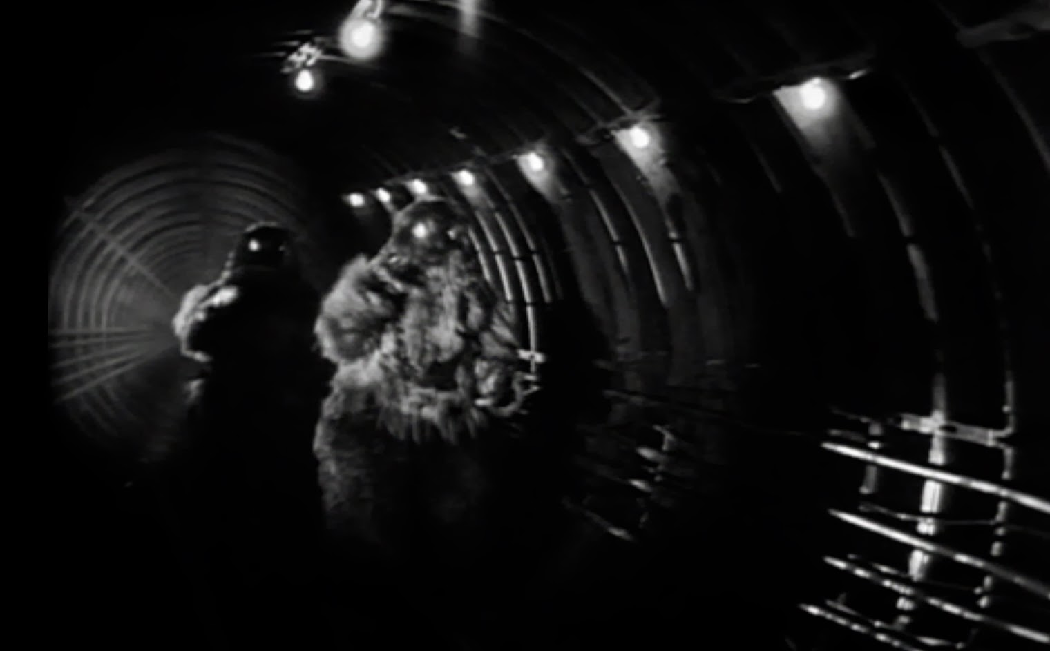 doctor who the web of fear