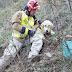 Εθελοντές έσωσαν τον γατζωμένο στα βράχια σκύλο-ήρωα...