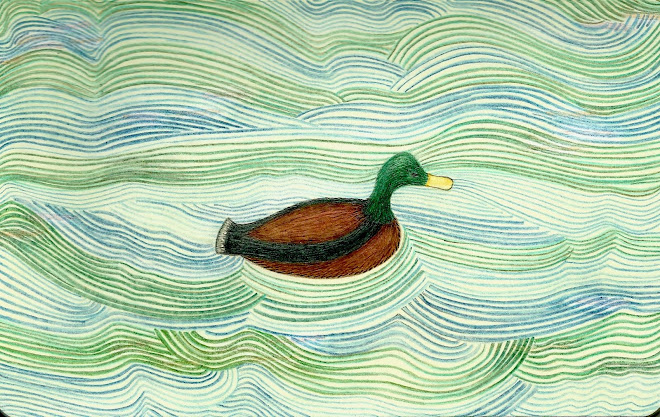 Duck in Dusk Tide, Canary Wharf