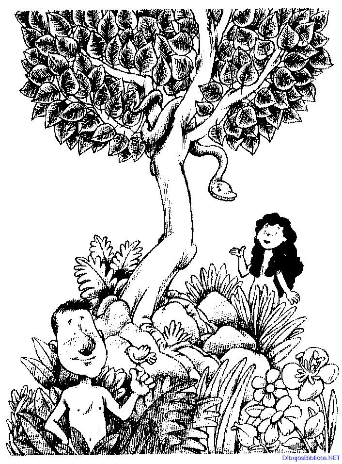 Dibujo del Genesis para colorear - Adan y Eva ~ Dibujos Cristianos Para