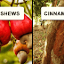 These 12 Eye-opening Pictures Will Show You How Your Food Grows!