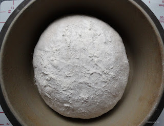 Dinkelkruste