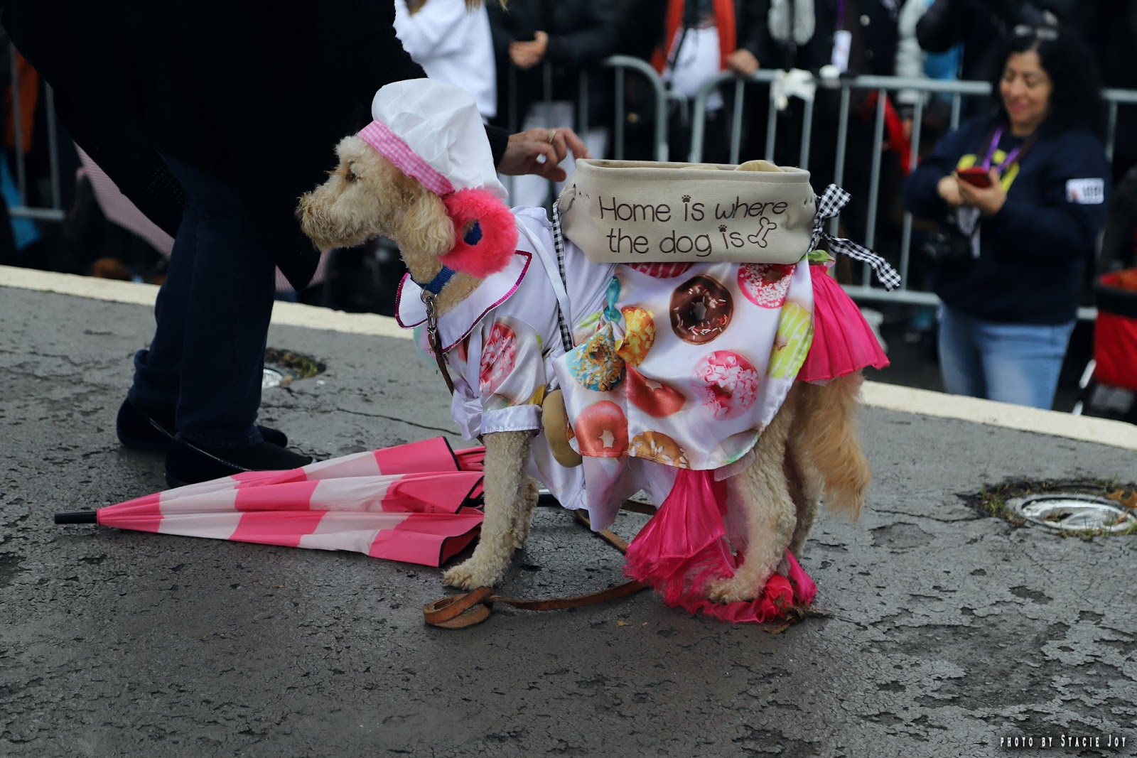 EV Grieve At the 29th annual Tompkins Square Halloween Dog Parade