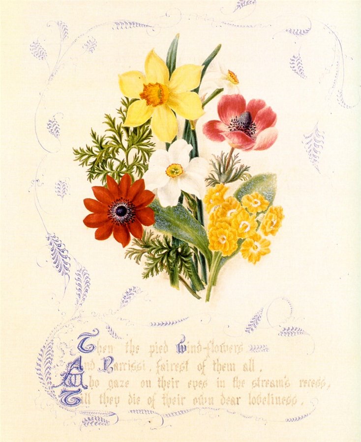 The Country Flowers Of A Victorian Lady By FANNY ROBINSON - Foto 7