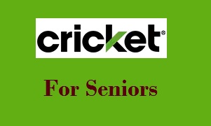cricket phone quick pay cricket phone quick pay