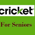 Cricket Flip Phones for Seniors - Cricket Senior Plans | Cricket Debut Flip 4GB - Free Phones When You Switch 2021