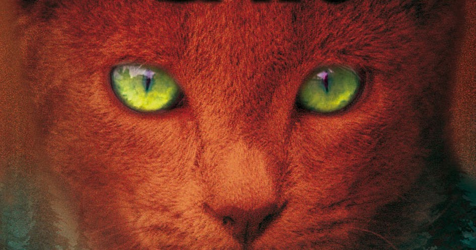 Warrior Cats Staffel 3 Band 1 Leseprobe daslesesofa.blogspot.com