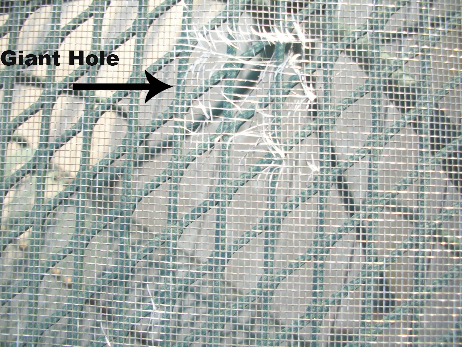 Pams Party & Practical Tips How to Fix a Screen