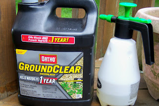 plant cleans gardening report itself noticed flourishes same