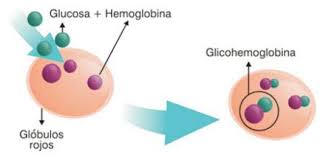 diabetes promedio estimada de glucosa
