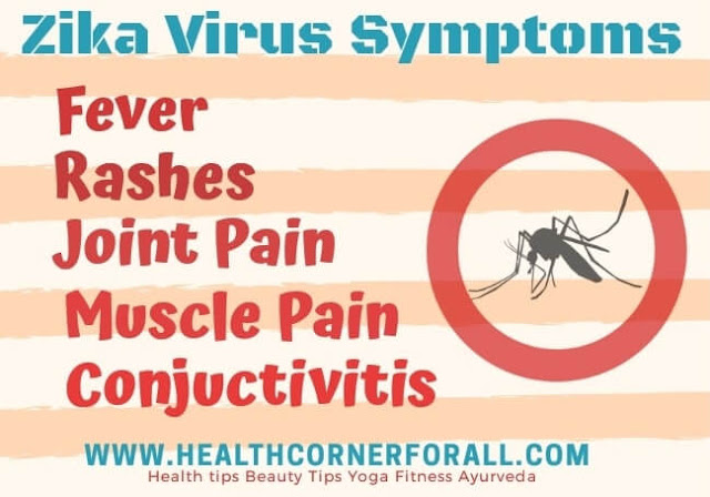 Know About-Zika Virus-Symptoms,Causes,Treatment,Prevention