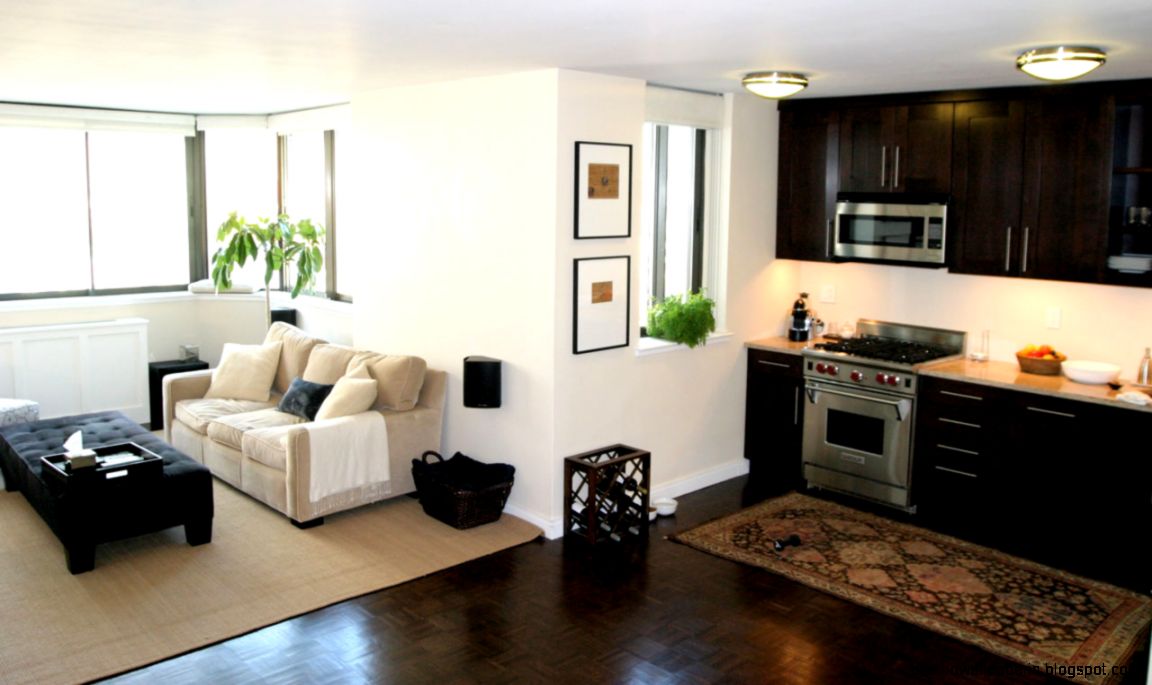 Small Apartment Interior Design  Interior Decorating and Home