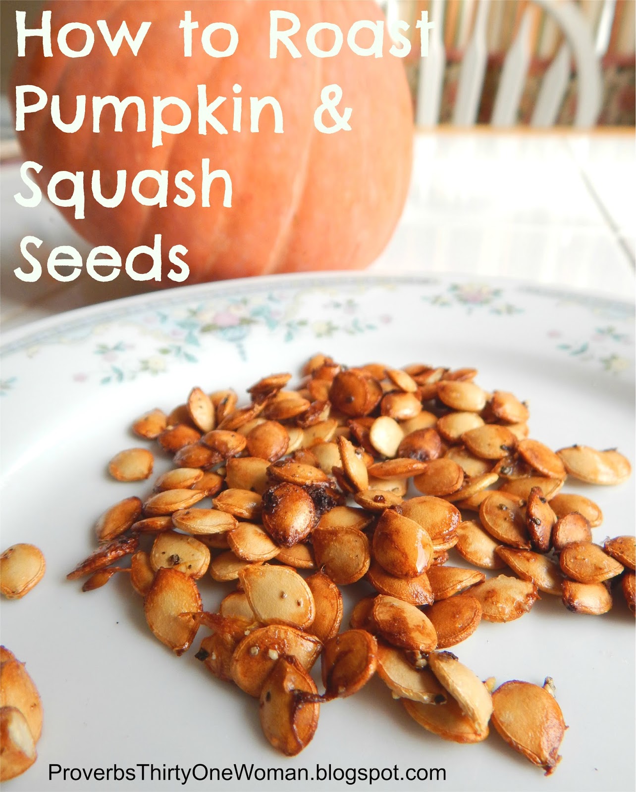 How to Roast Pumpkin and Squash Seeds Proverbs 31 Homestead