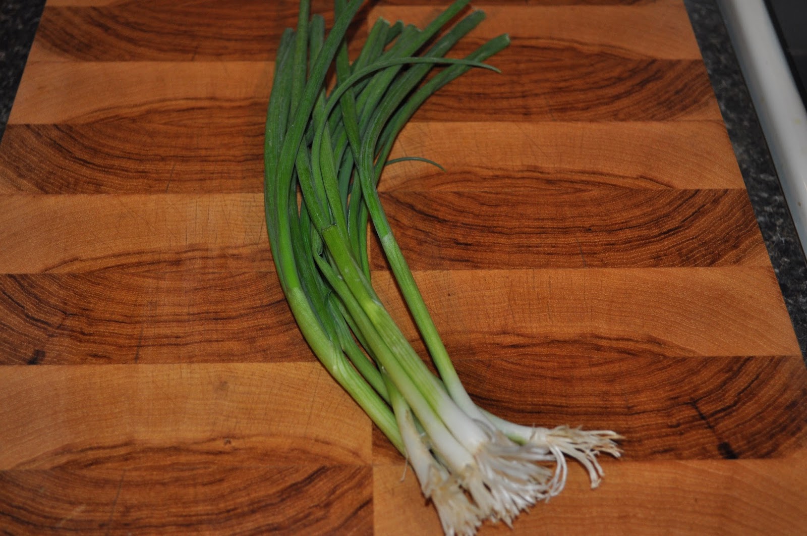 Starting From Seed How to keep your green onions from going limp!