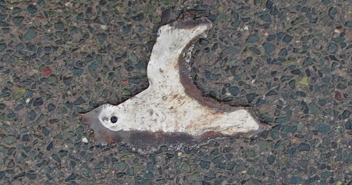 the golden fish crossing the road