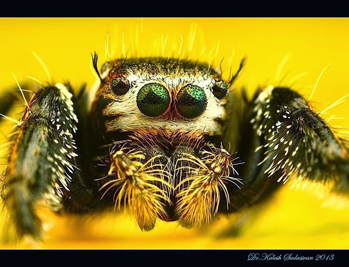 School Of Digital Photography Stacking Lenses with Coupling Rings for