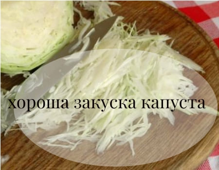 Обучались мы искусству квасить свежую капусту засолка капусты