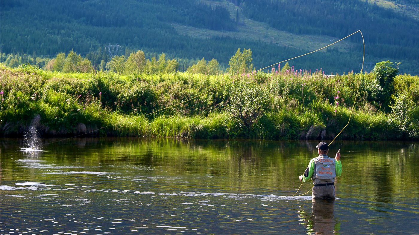 Fly Fishing for Trout in Norway in 268 Casts from Troutification
