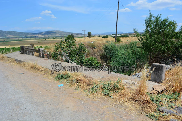 DSC 0313 | Lamianow.gr