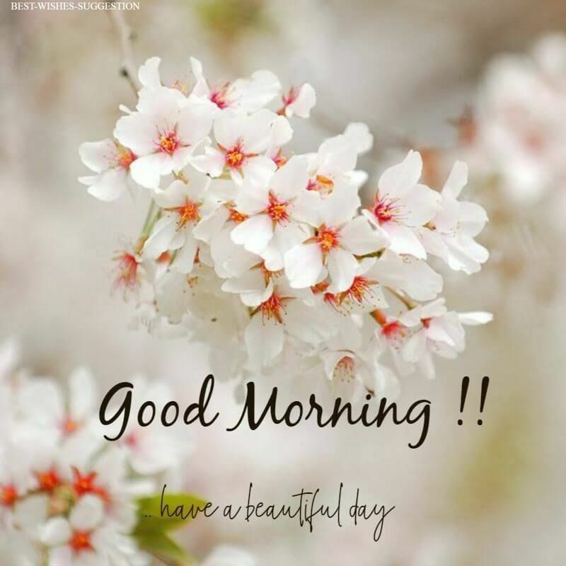 good night cute images