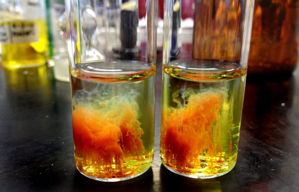 precipitate solution precipitate solution