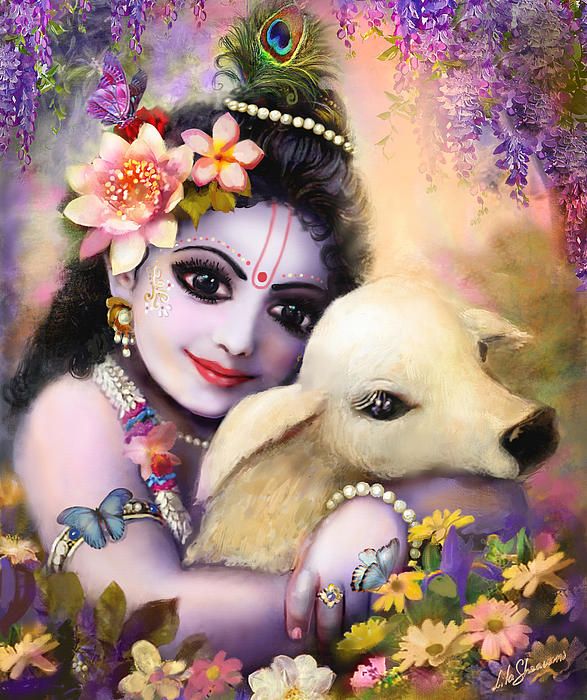 Krishna Images