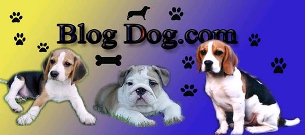 blog dog.com