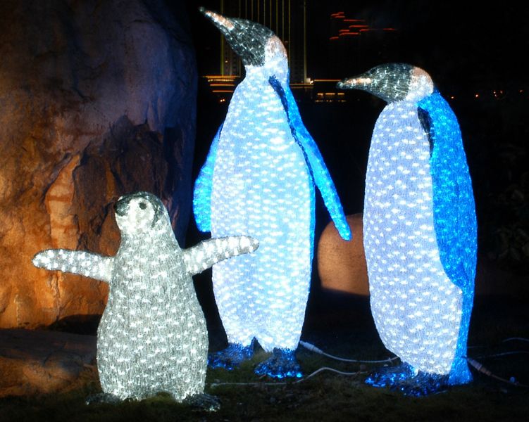 Coupon STL: 1/2 off St Louis Zoo Wild Lights & Hot Chocolate