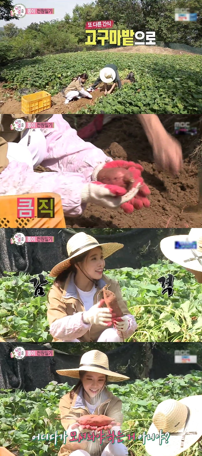 아무리 편해져도 권태기 안오게 하는 남자의 좋은 예....JPG | 인스티즈