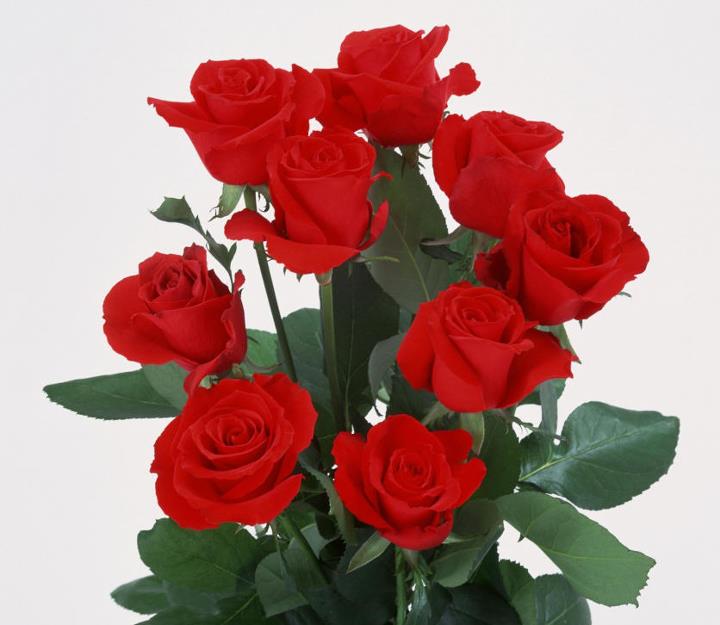 Rosa. Mis vivencias.