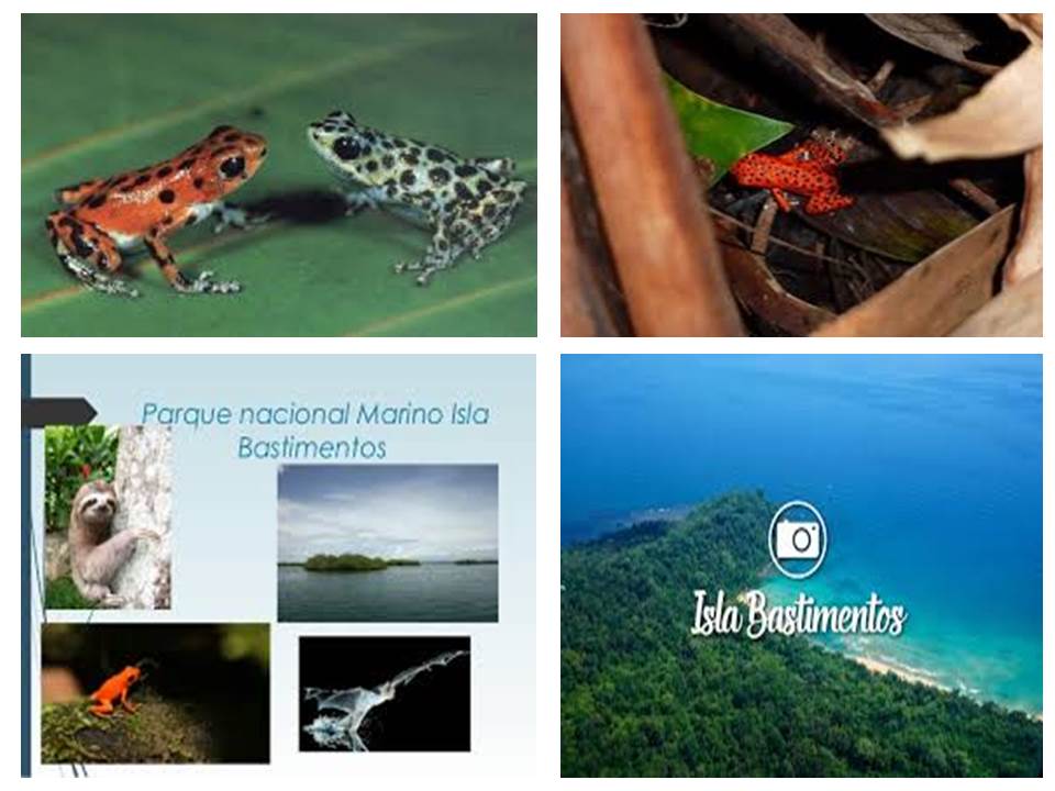 SITIOS ECOTURISTICOS EN PANAMÀ Parque Nacional Marino Isla Bastimentos